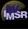 Bharati Vidyapeeth — Institute of Management Studies and Research